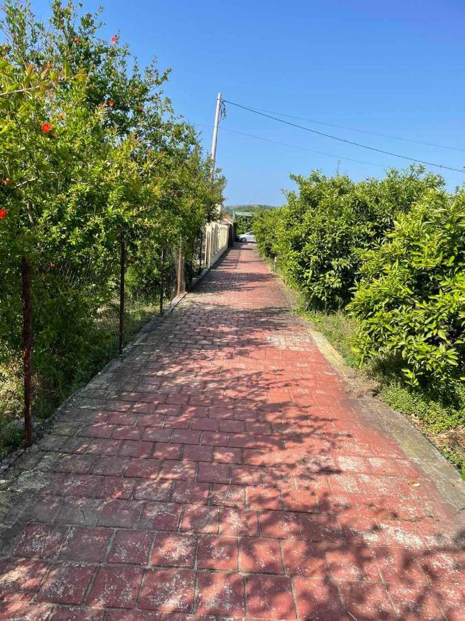 Villa Nilić Bar Esterno foto